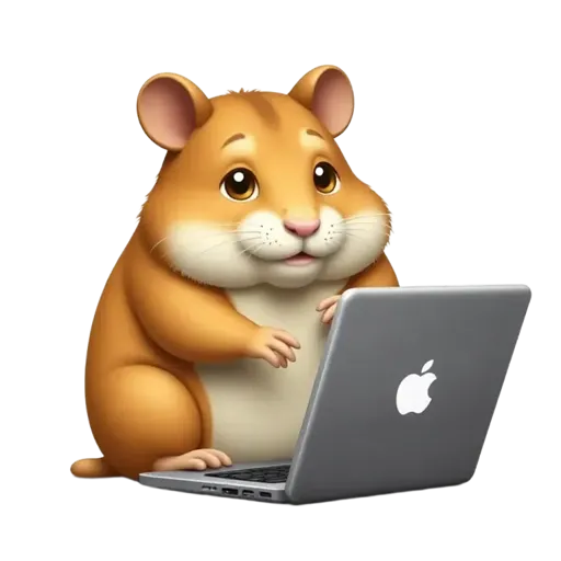 hamster working on laptop