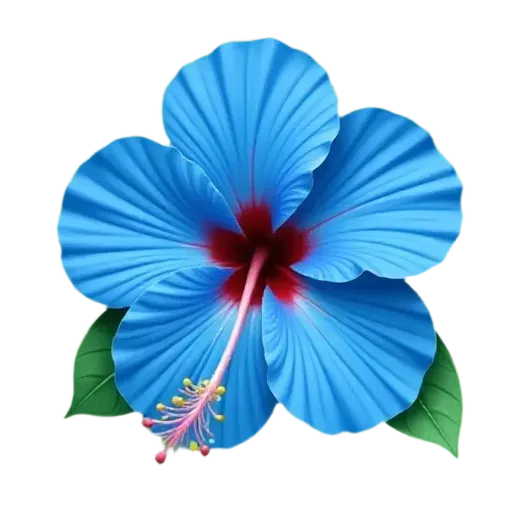 Blue hibiscus flower